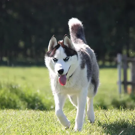 Appartement Vent_du_nord *